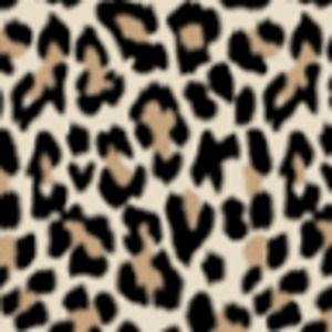 Meet your Posher, Skylar